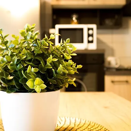 Yourbanflat Il Nido Della Cipi Apartment Verona